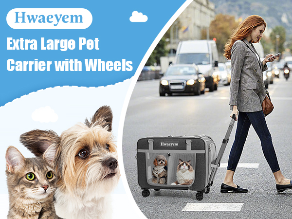 Looking forward to promoting pet transport boxes