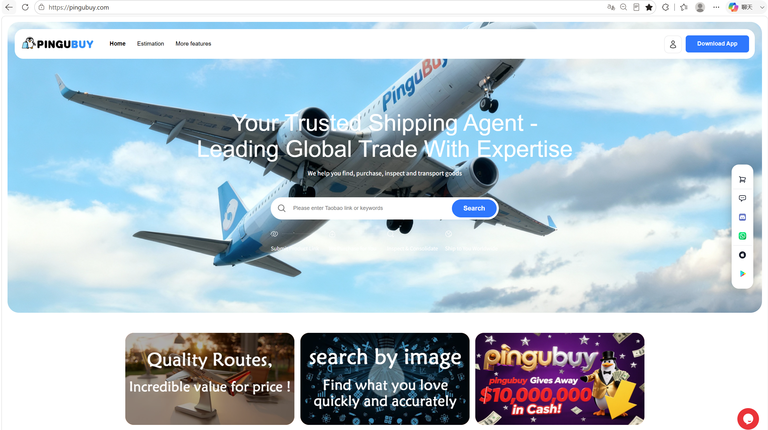 Pingubuy Online Store Promotional Campaign